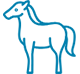 equitation