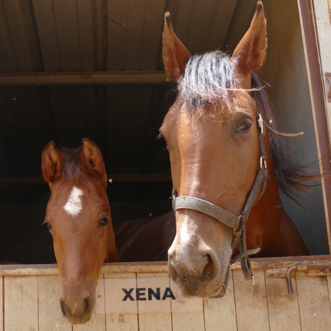 RIO&XENA