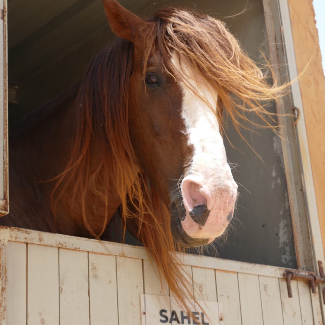 SAHEL
